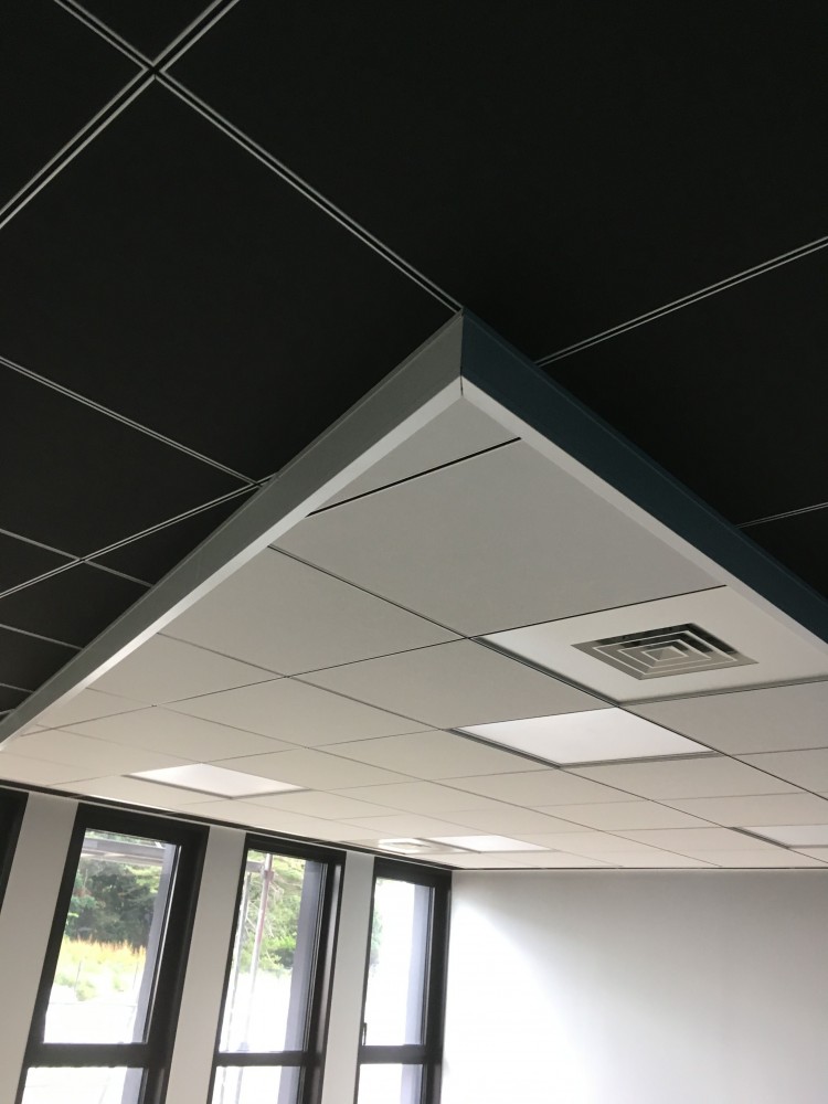 AIR DES PEINTURES Peintre Chateaubriant Dun Plafond Tendu PVC